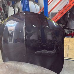 20108- 2020 Acura Tlx Hood 