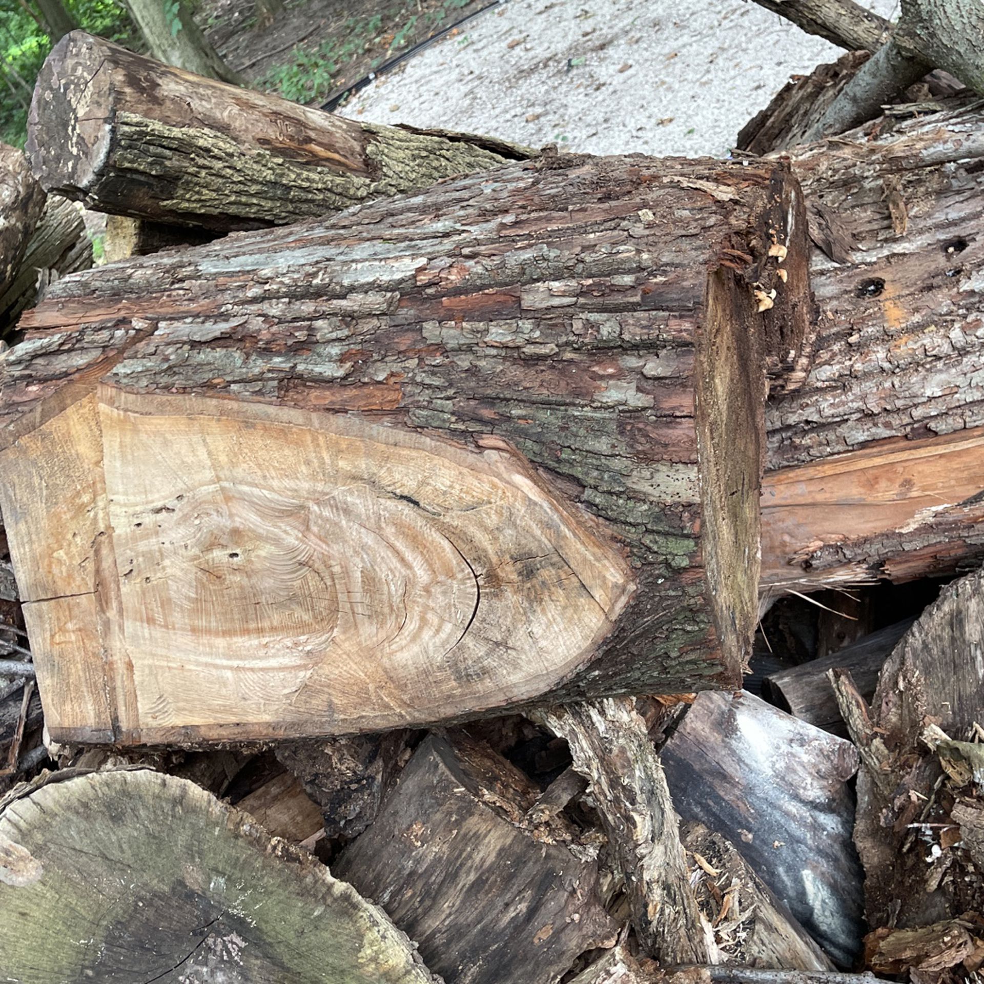 Wood Dump!! Logs! Message Me For Details 
