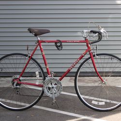 Schwinn World sport red road