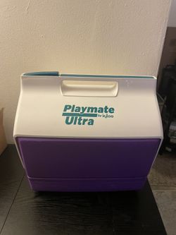Vintage Playmate Cooler