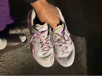 Curry 12