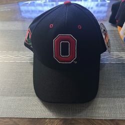 Ohio State Buckeyes NCAA Colesseum