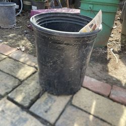 5 gal Plant Pots