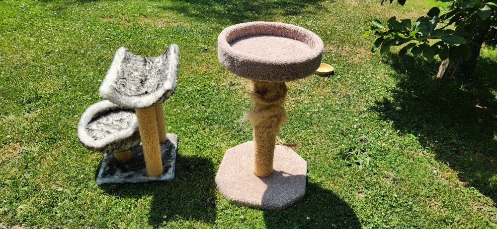 Free Cat Trees