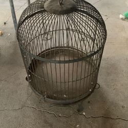 Bird cage 