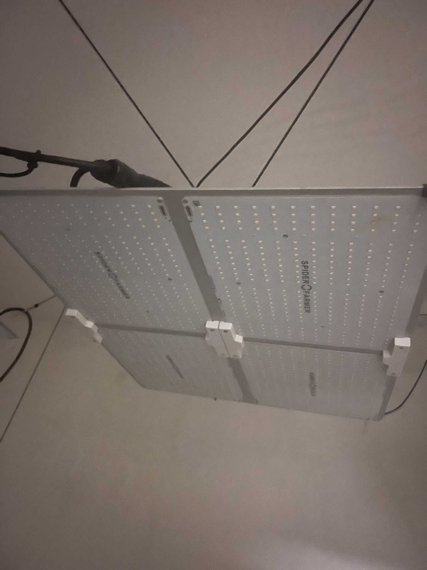 2 Spiderfarm Grow Lights