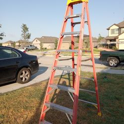 8 Ft Ladder