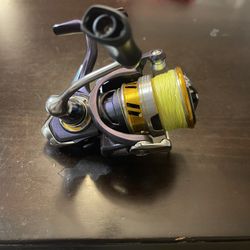 ( 2 ) Daiwa Regal LT 2500 Spinning Reels