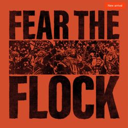 Anaheim ducks fear the flock playoffs 2026