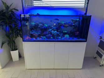 Aquarium tank