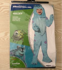 Monsters Inc Costume (Sully)