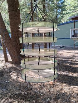 Flower drying rack