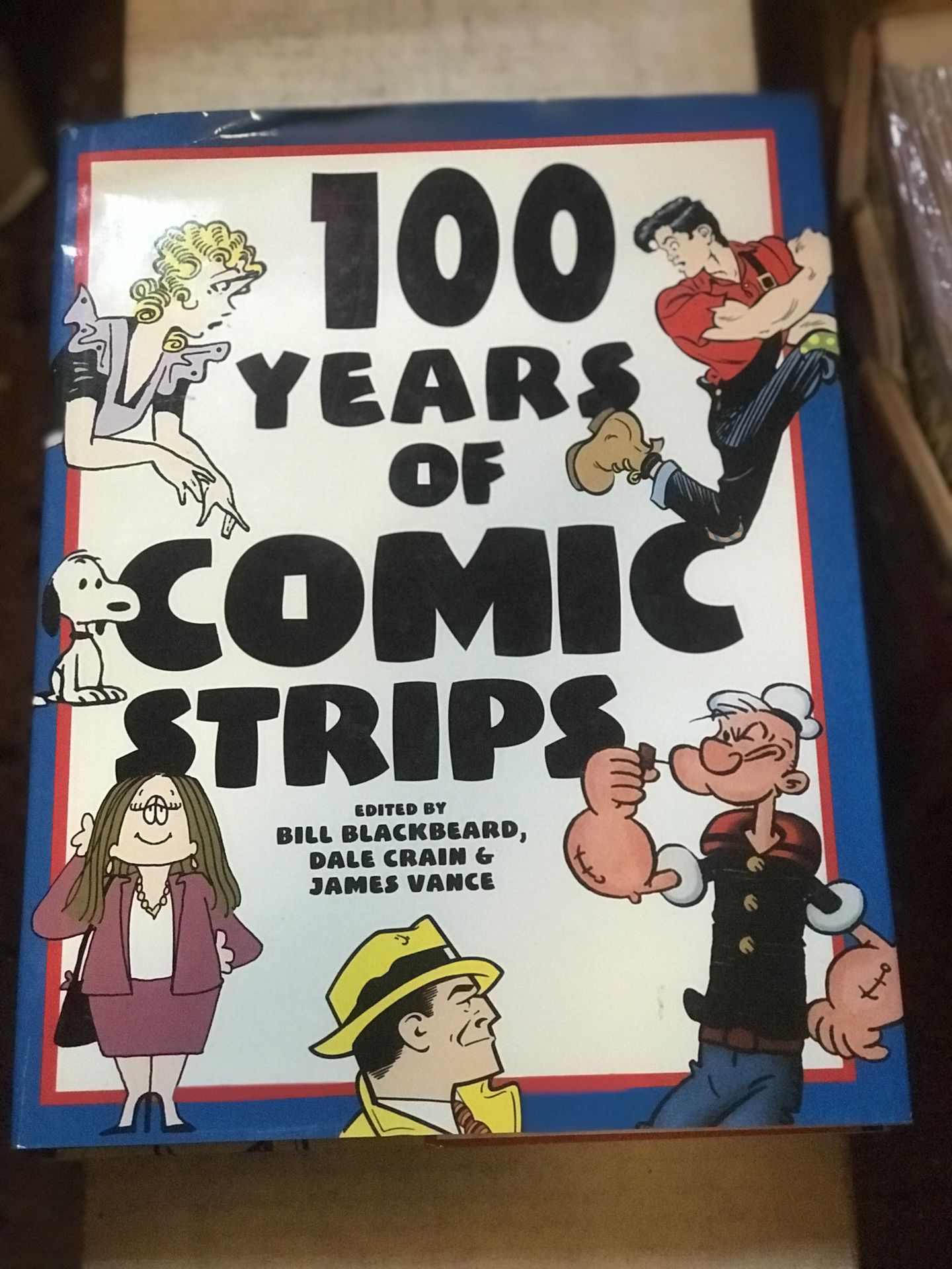 COMIC STRIP HISTORY BOOK