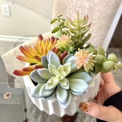 Fake Succulent