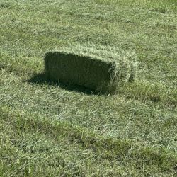 Square Bales $5 