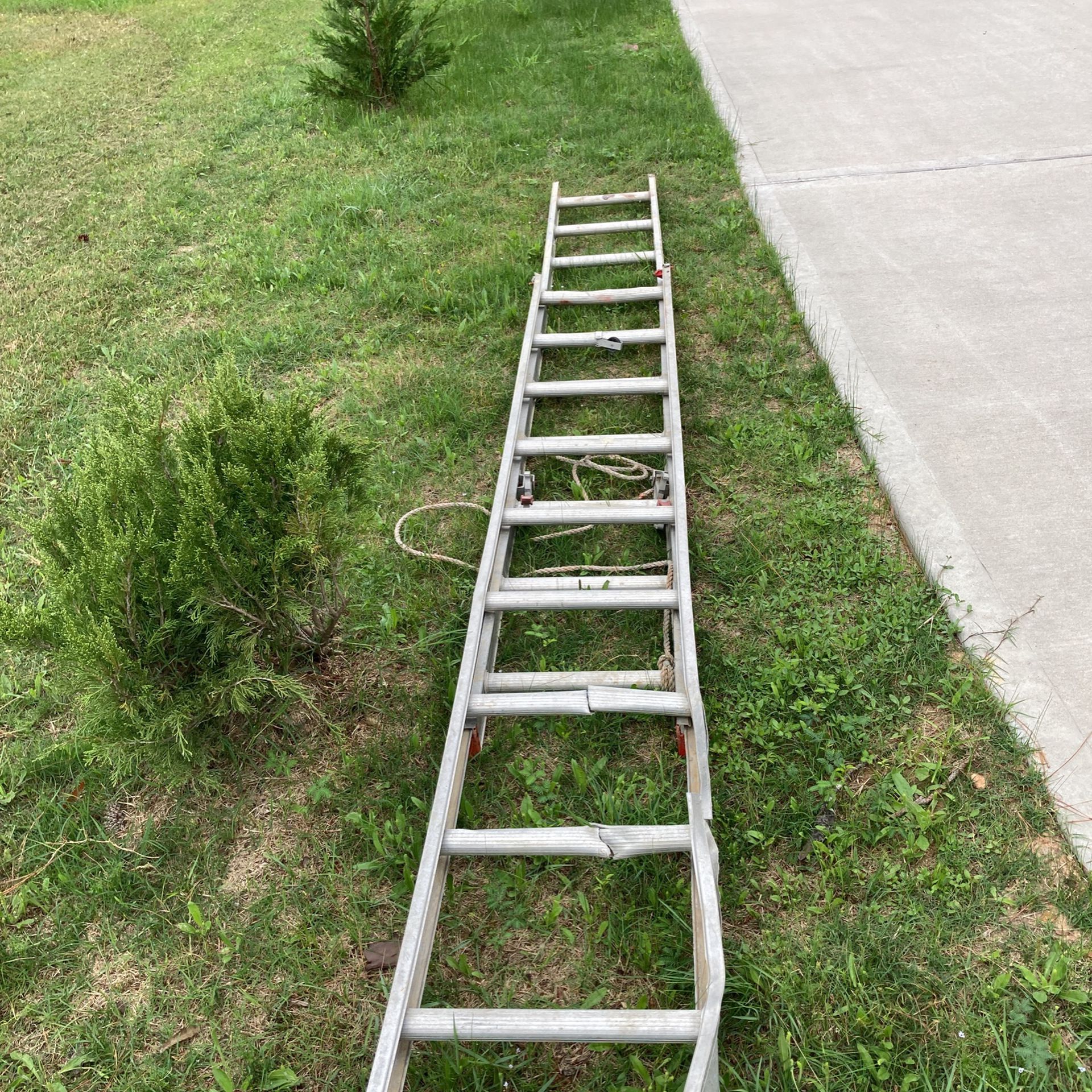 Ladder 