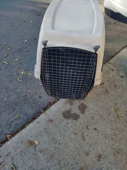 N2N pet carrier