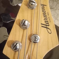 Bass GUITAR