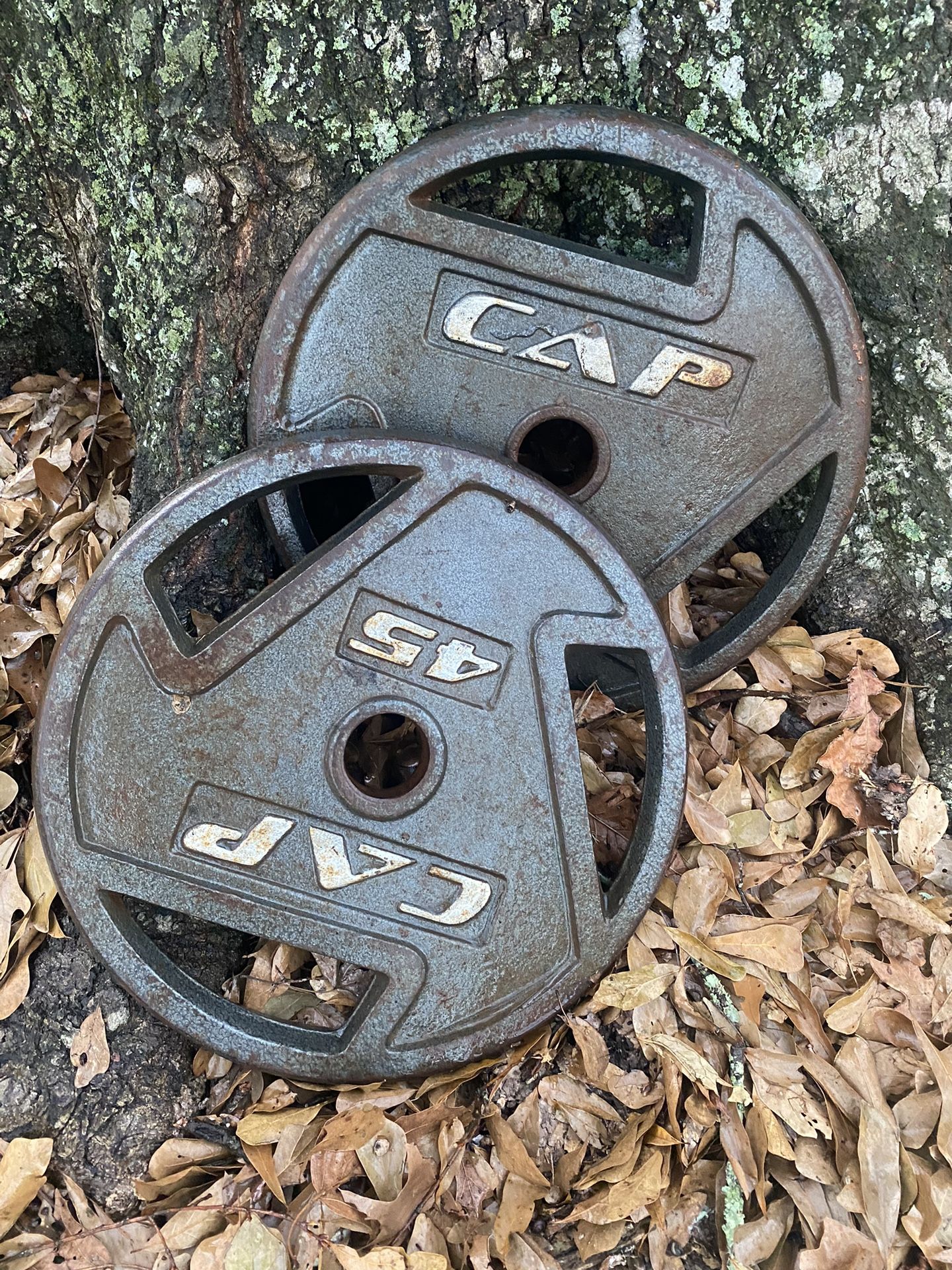 45lb Plates