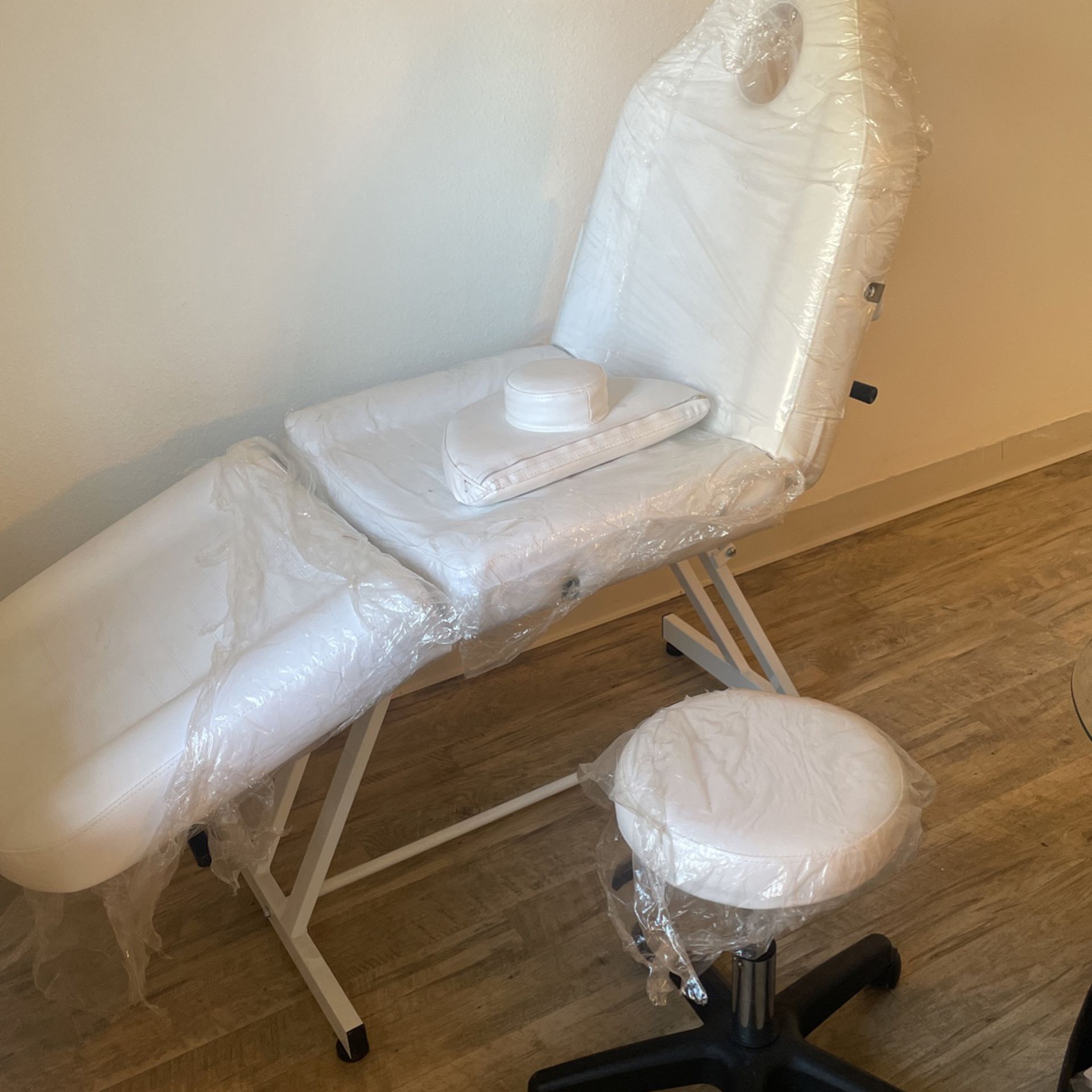 Professional Beauty Chair