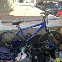 Schwinn Bike 