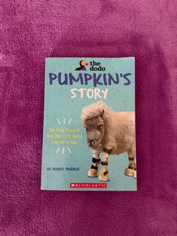 The DoDo Pumpkins Story