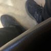 Adoni P