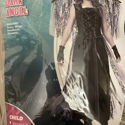 Halloween Costume - Dark Angel 
