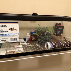 Aquarium And Extras
