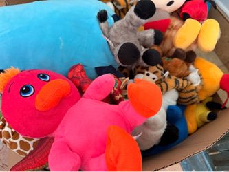 Stuffed animals box. Worth $275+ all free.