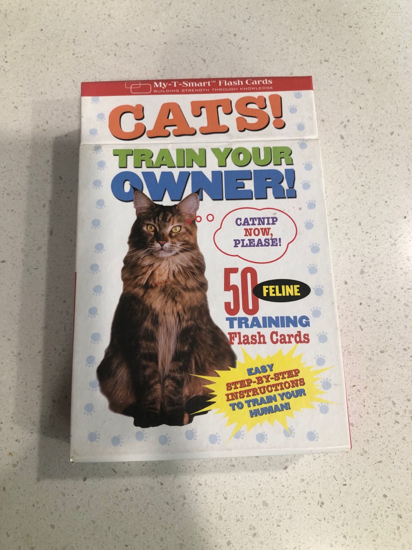 Fun cat cards