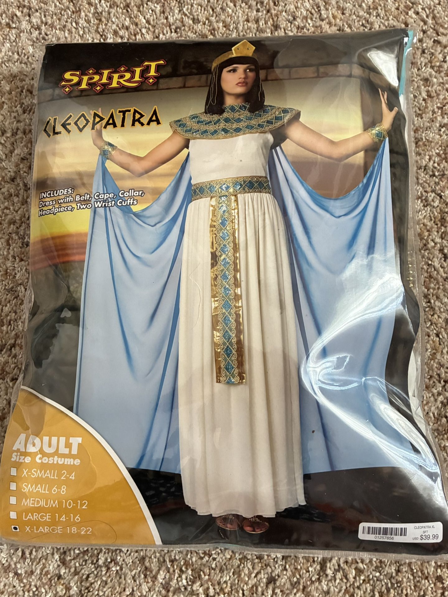 halloween costume