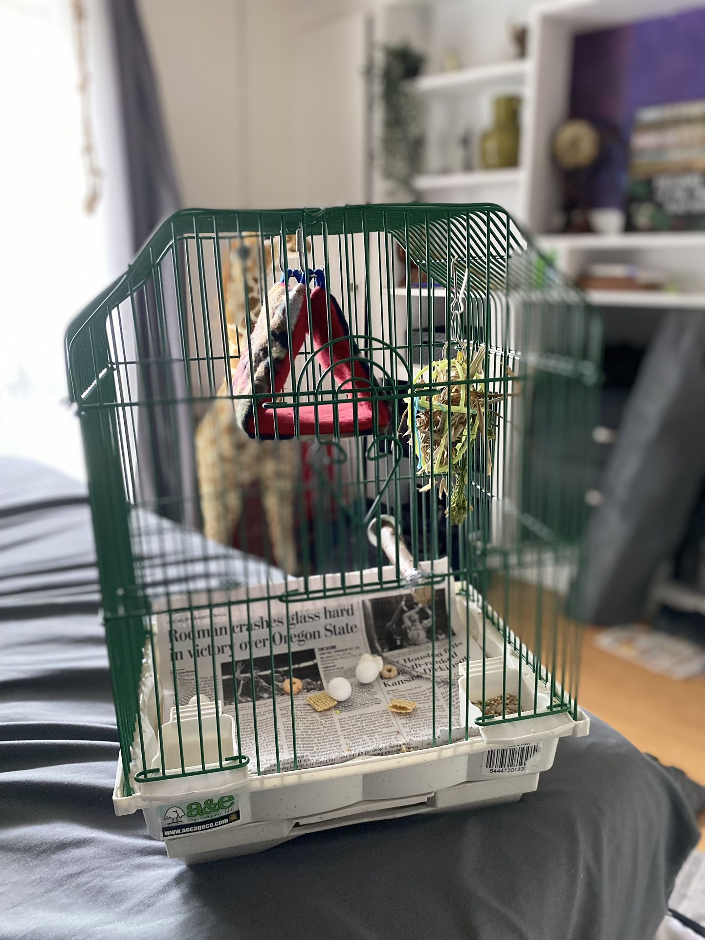 Small Bird Cage