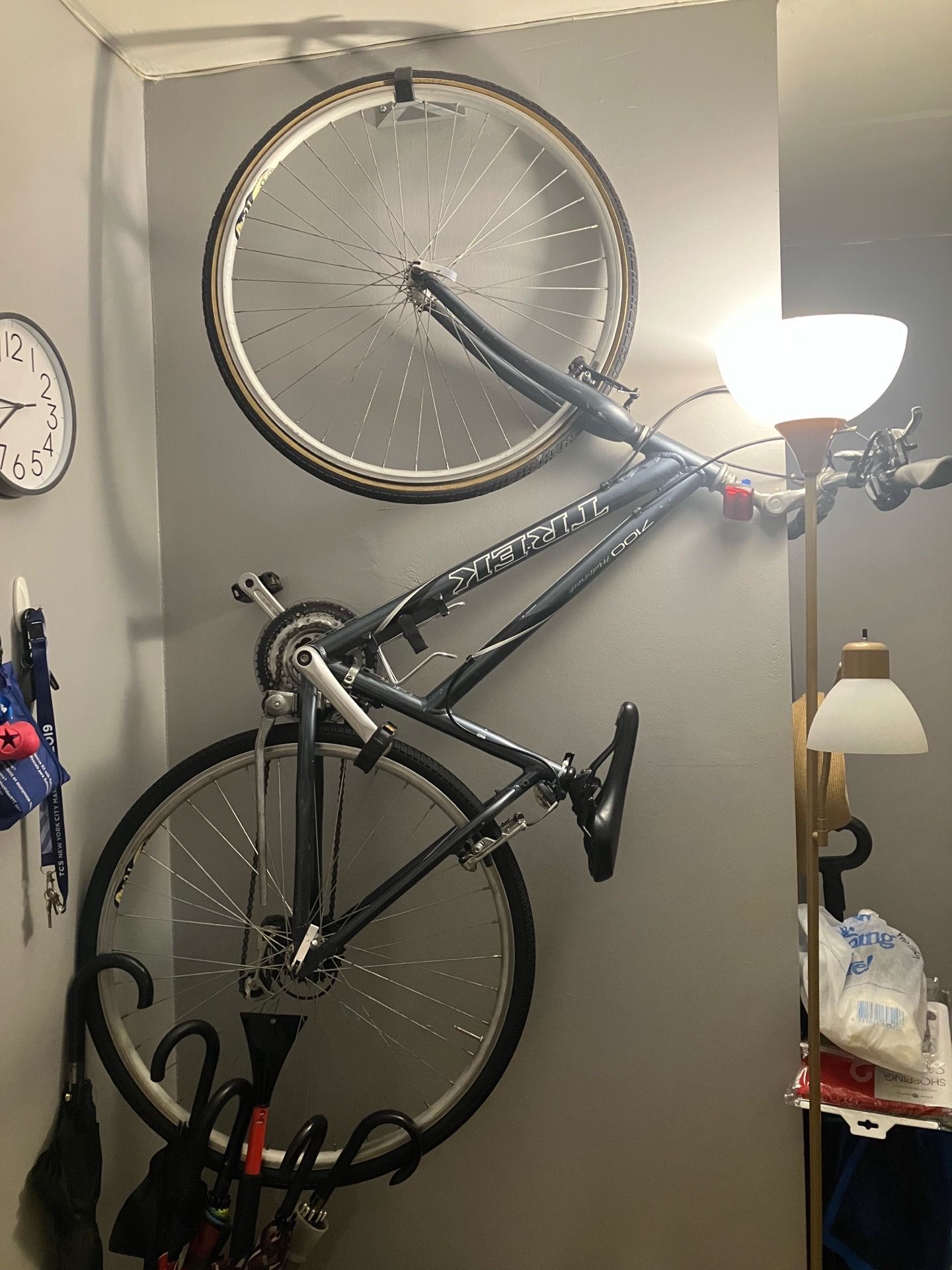 Woman Bicycle