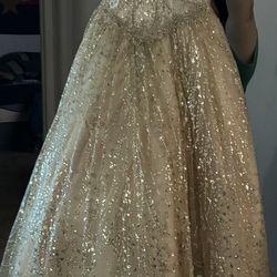 Quinceñera Dress 