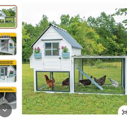 Chicken Coop