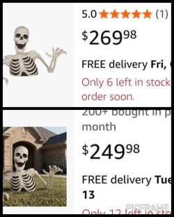 ☠️skeleton ground breaker