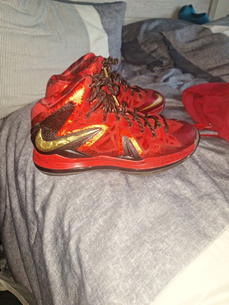 Lebron James Basketball Shoe
