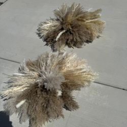 Pampas Wall Decor 