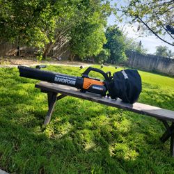  Worex Leaf blower Leaf molcher (Used) Great Working Condition 