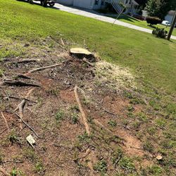 Stump Grinding 