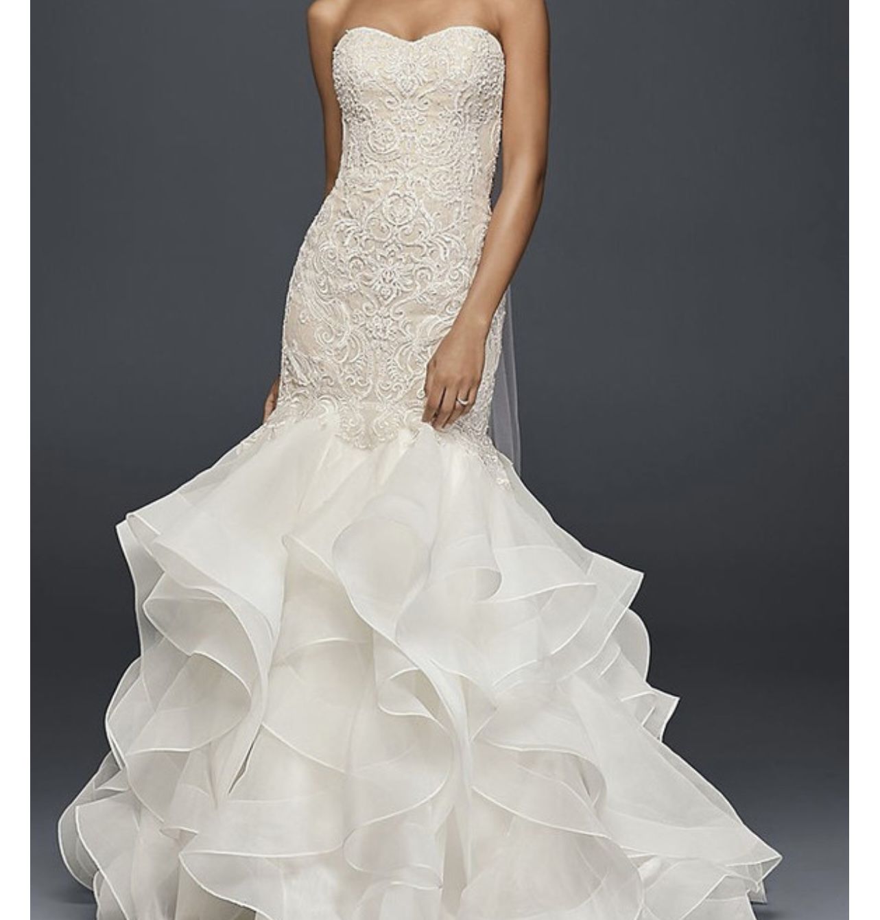 David’s Bridal Wedding Dress Worn