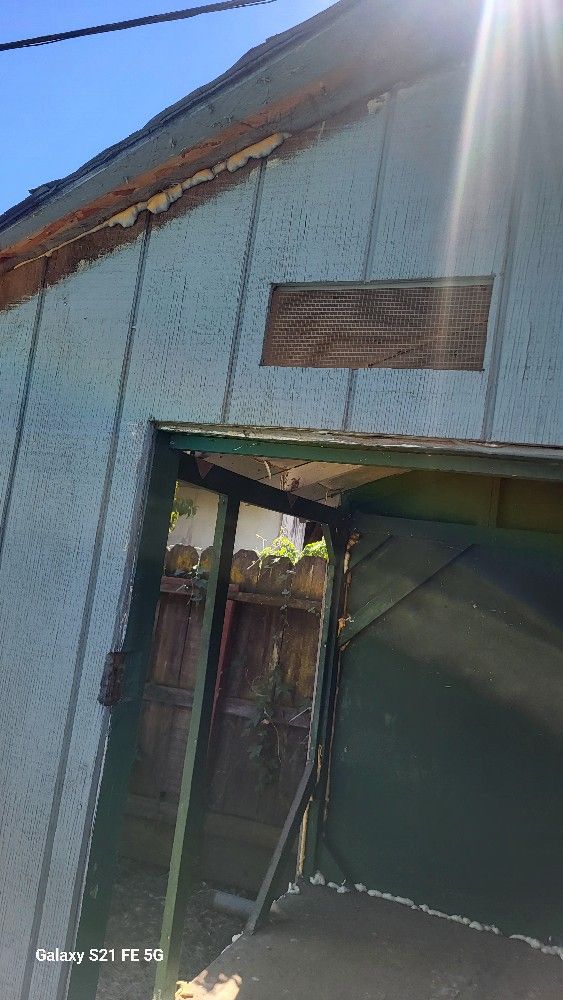 Shed 