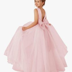 Flower Girl Dress Blush/Dusty Pink