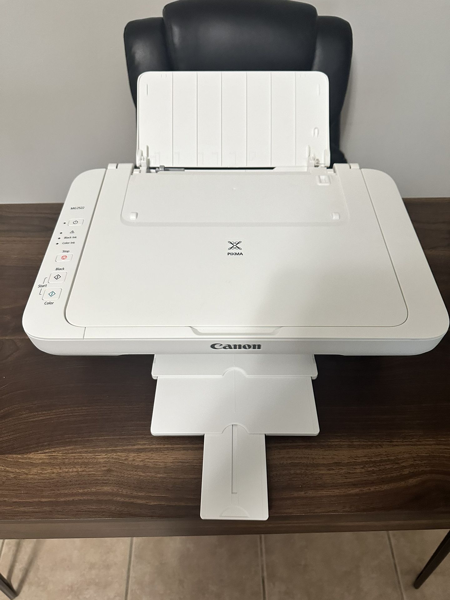 Canon Pixma MG2522 (Like Brand New)