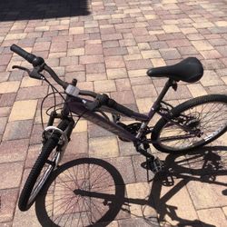 24 “ Bike