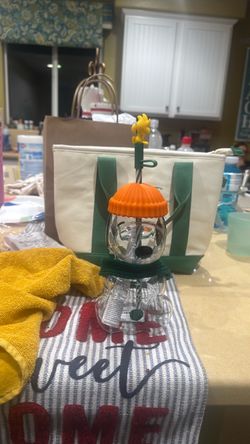 Starbucks snoopy cup