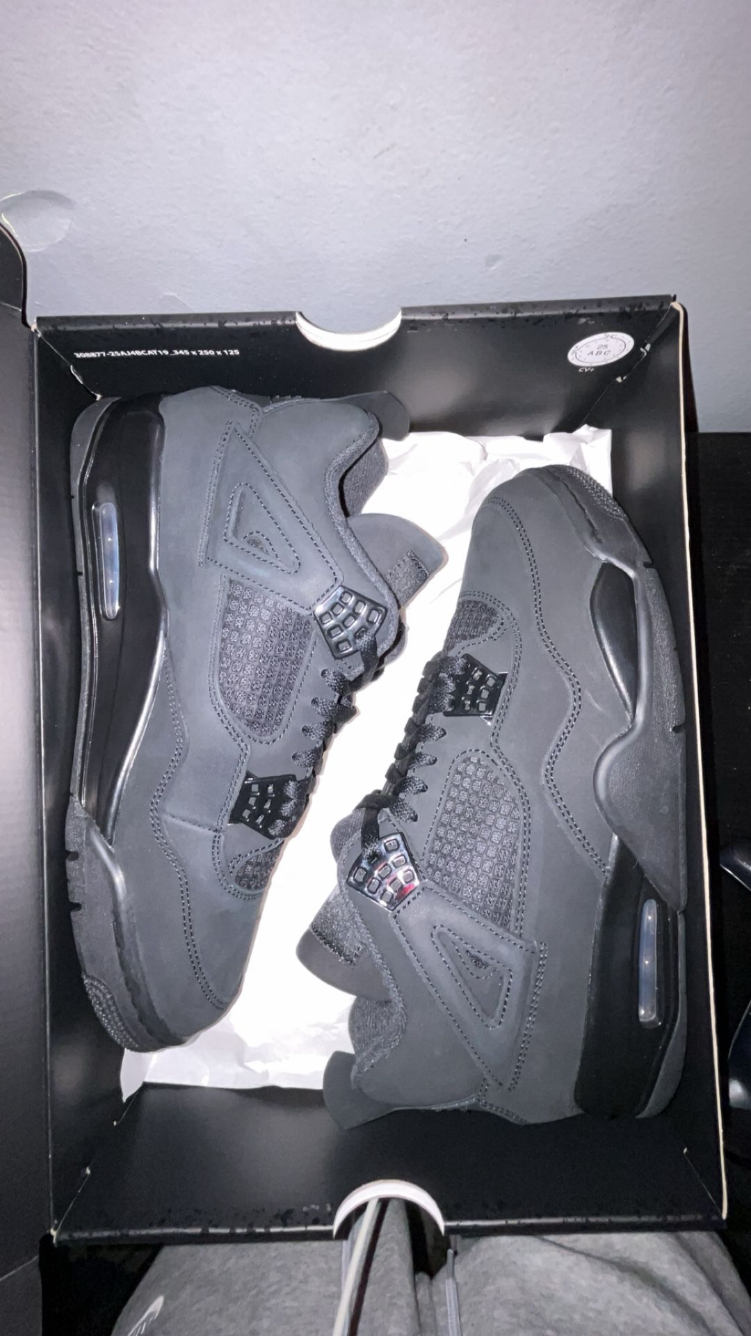 Jordan 4 Retro Black Cats (2025)