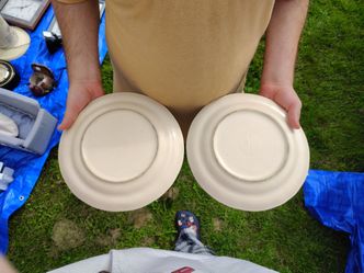 Set of 2 Ceramic Dinner Plates
