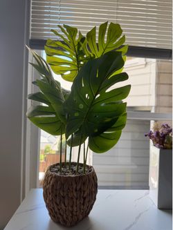Faux Monstera Plant in Decorative Woven Basket Planter